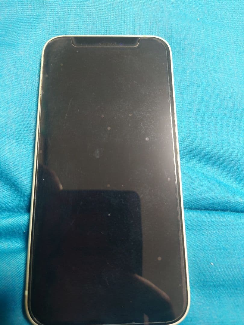 ポ*ン様 【セット】 iPhone 12 mini ミントグリーン 本体