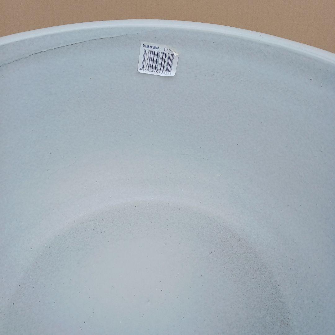 新品　∅51　陶器　睡蓮鉢　特大　難有　メダカ鉢　白　ホワイト　ルーバー　LWH