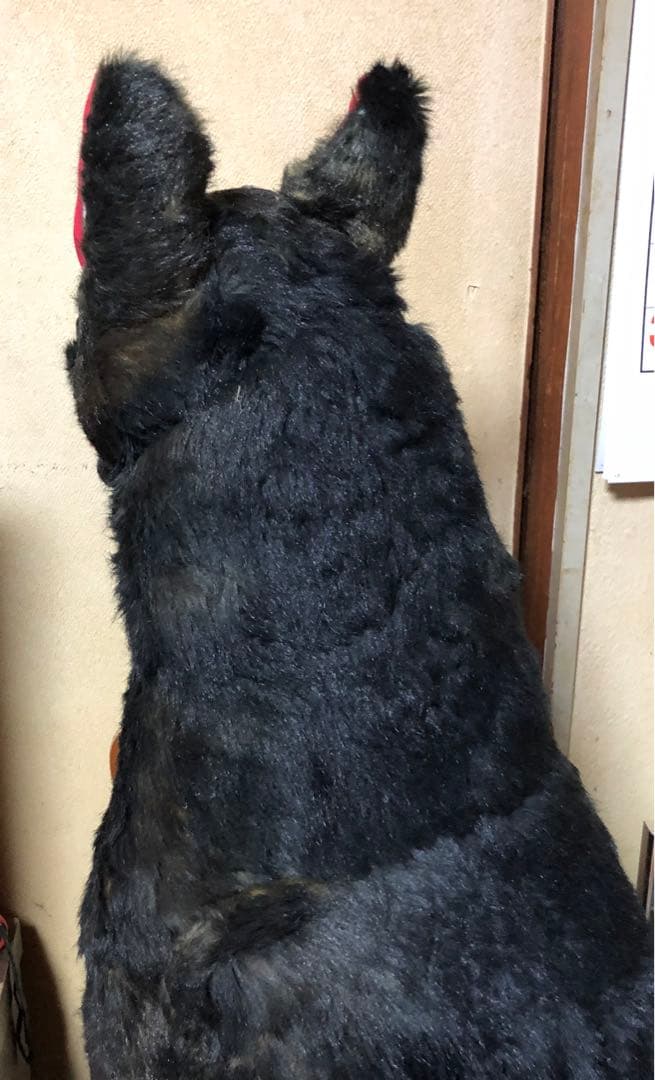 ☆値下げ！大特価☆大型犬ぬいぐるみ 黒
