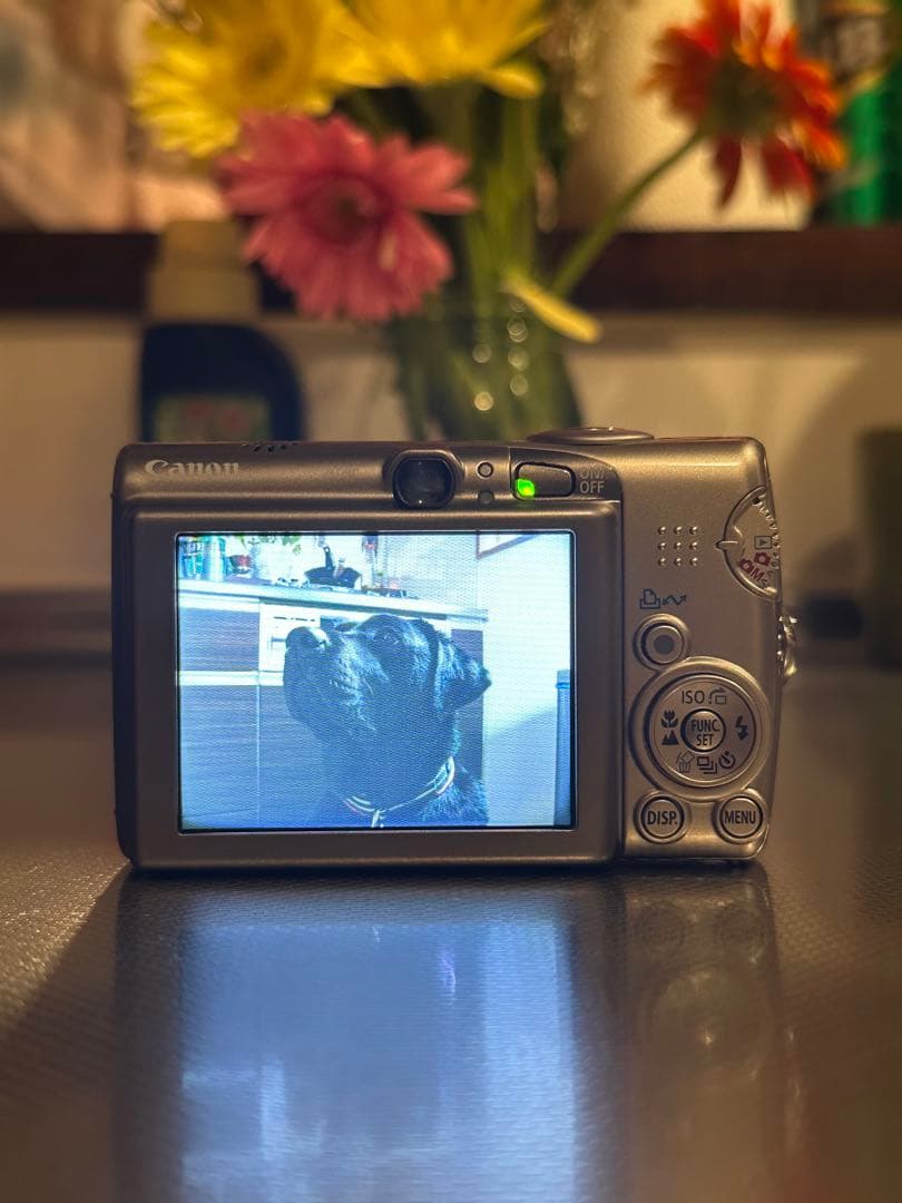 Canon IXY DIGITAL 810is 超美品
