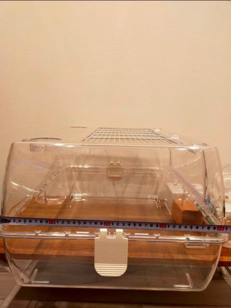 ルーミィ60 ベーシック 飼育セット