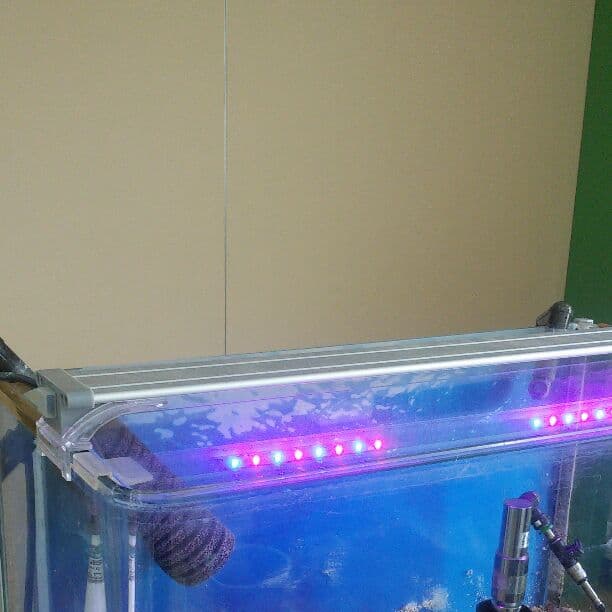 60㎝水草水槽向きセット