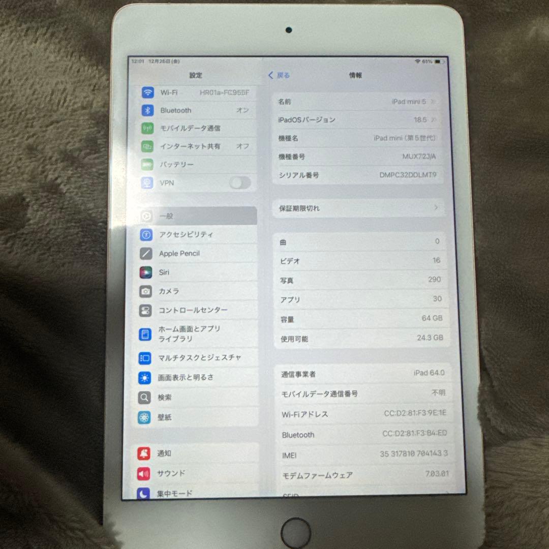 iPad mini 5 セルラーモデル simフリー
