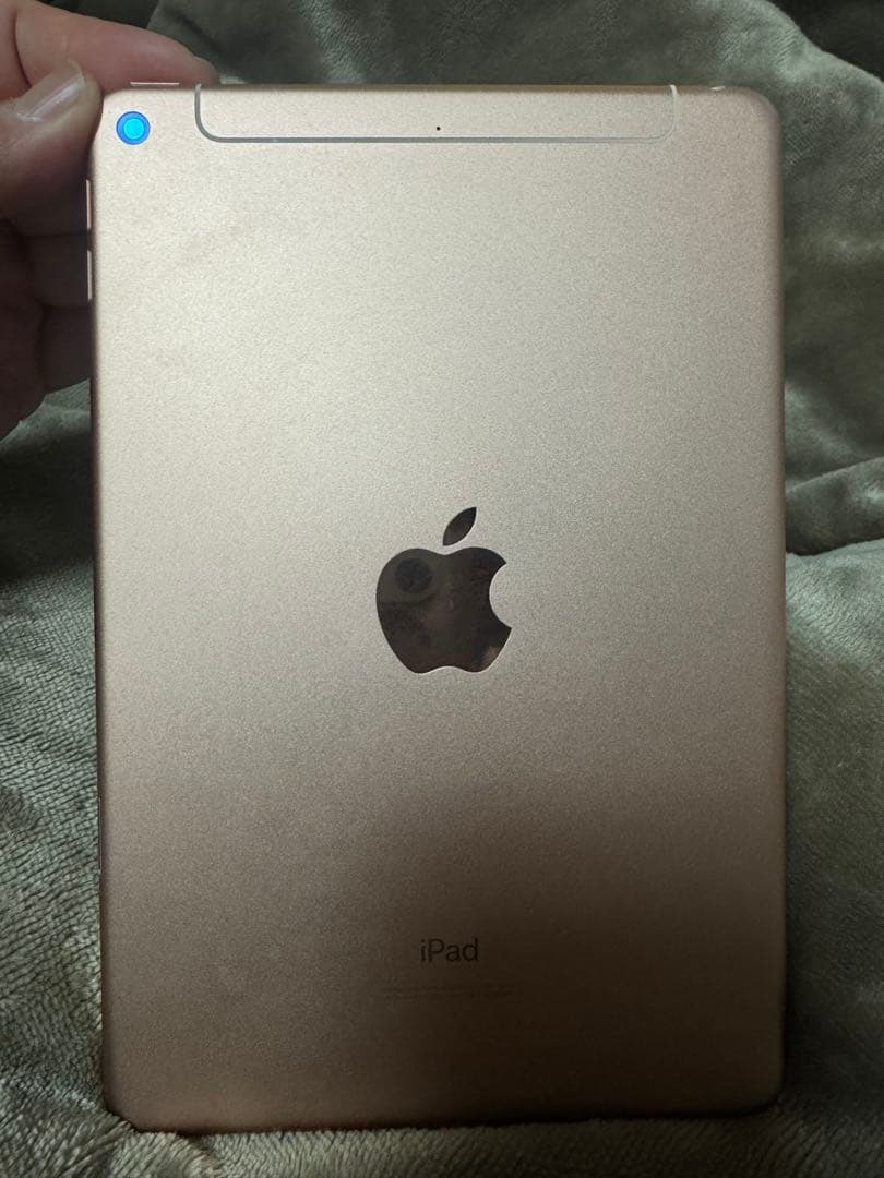 iPad mini 5 セルラーモデル simフリー