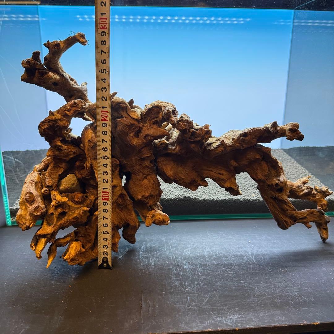 MSW-7082 天然流木 一点物　枝流木　アクアリウム