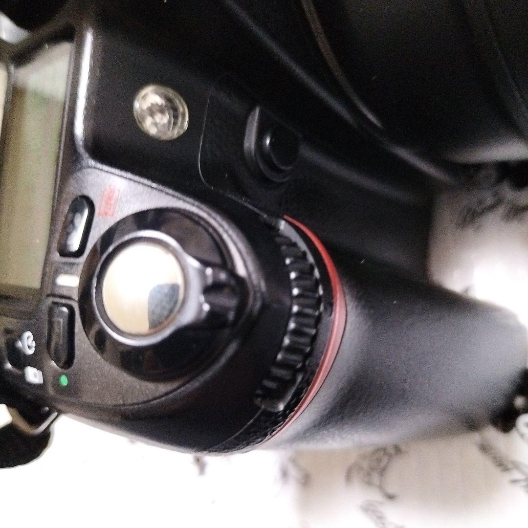 デジタルカメラ Nikon D80