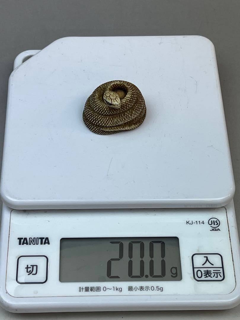 ［珍品］和之在銘　極上蛇根付　20 g 送料込み 龍ちゃん専用