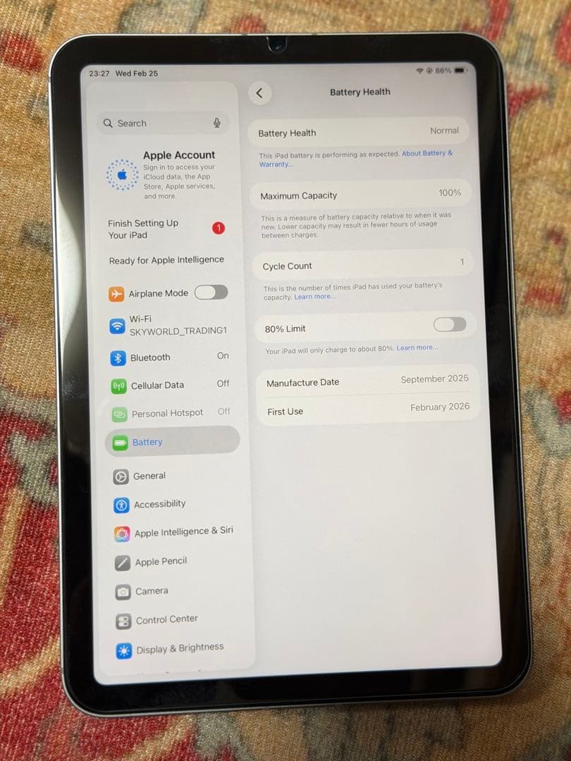 iPad本体 ipad mini A(17pro) wi-fi+cellular 256GB