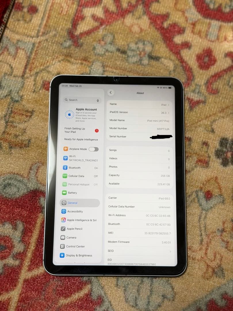 iPad本体 ipad mini A(17pro) wi-fi+cellular 256GB