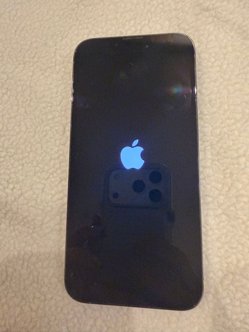 Apple iPhone13Pro シエラブルー本体