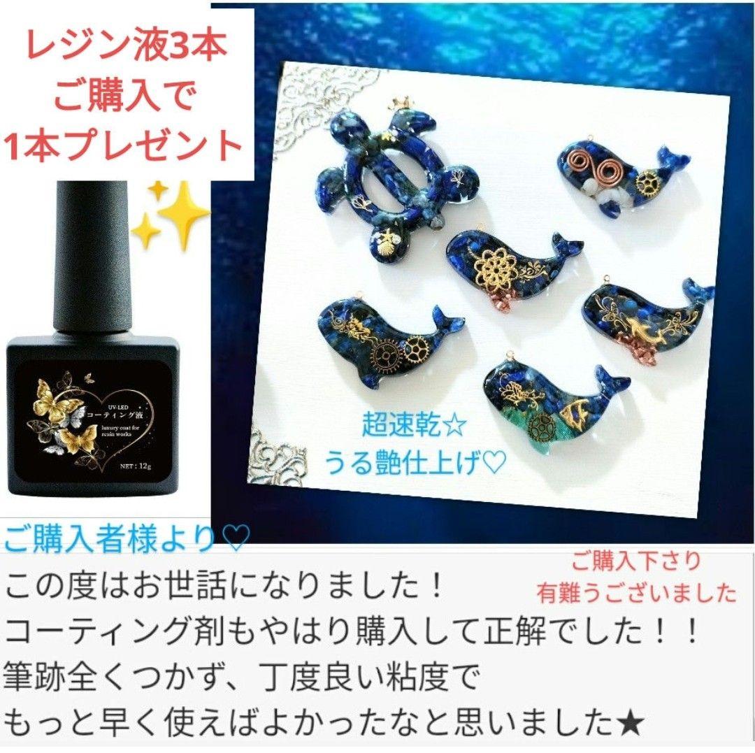 専用レジン液 フルール9本、ソフト1本、コーティング剤つき✩.*˚
