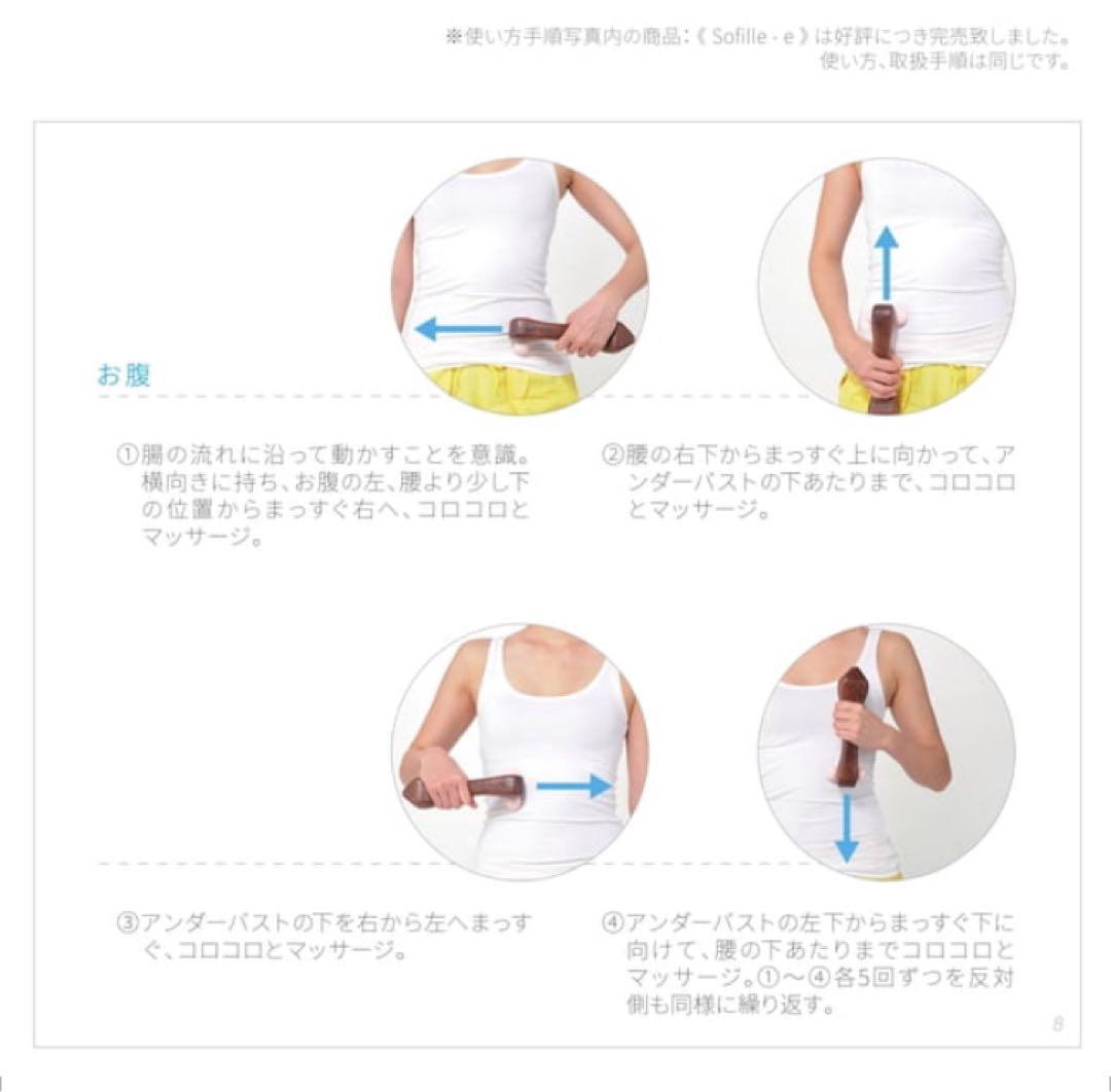 【特価】LOUVREDO ルーヴルドー レヴィ ソフィルe （現行品）