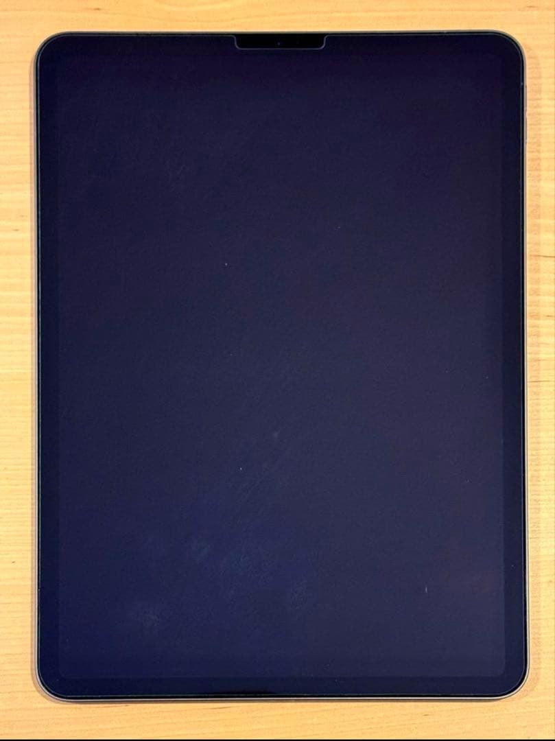 iPad Pro 11インチ (第1世代) 256GB