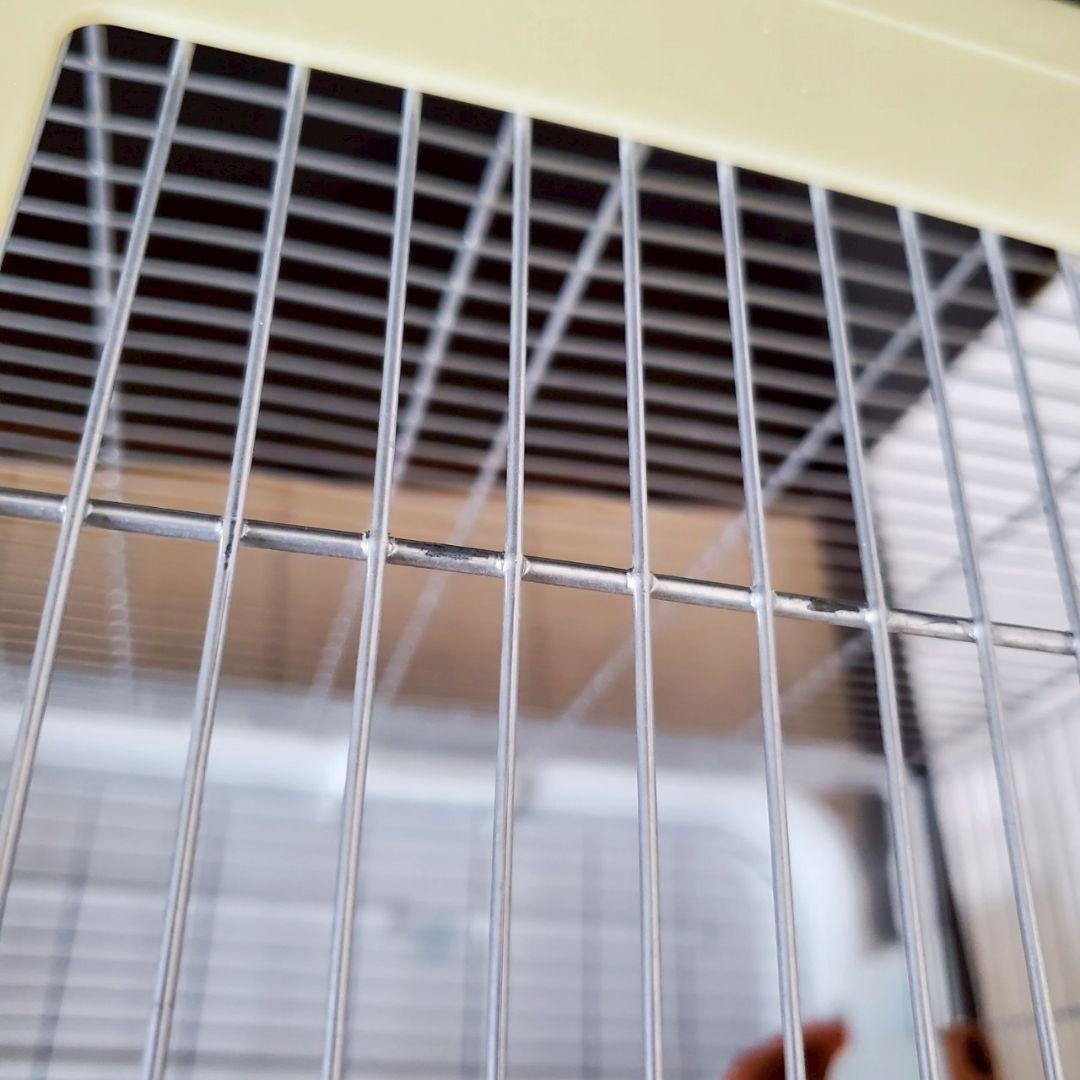 visionの 鳥かご