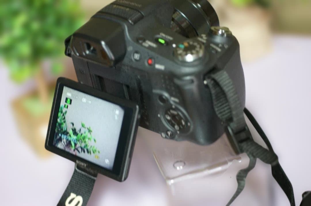 SONY　HX100V　絶好調　撮影簡単