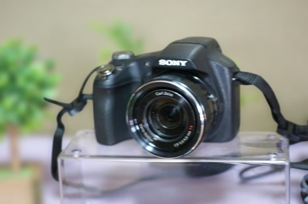 SONY　HX100V　絶好調　撮影簡単