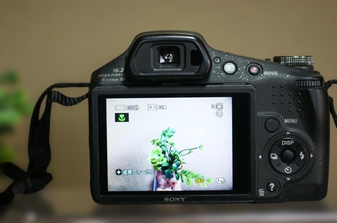 SONY　HX100V　絶好調　撮影簡単