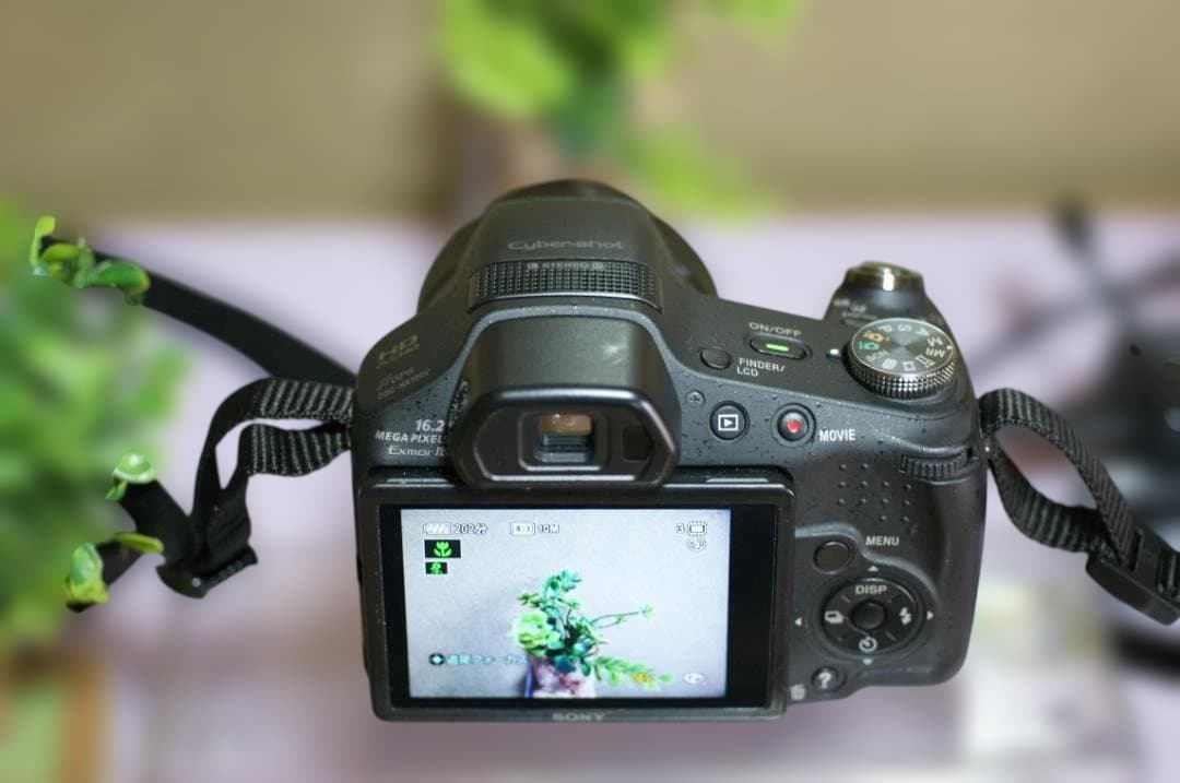SONY　HX100V　絶好調　撮影簡単