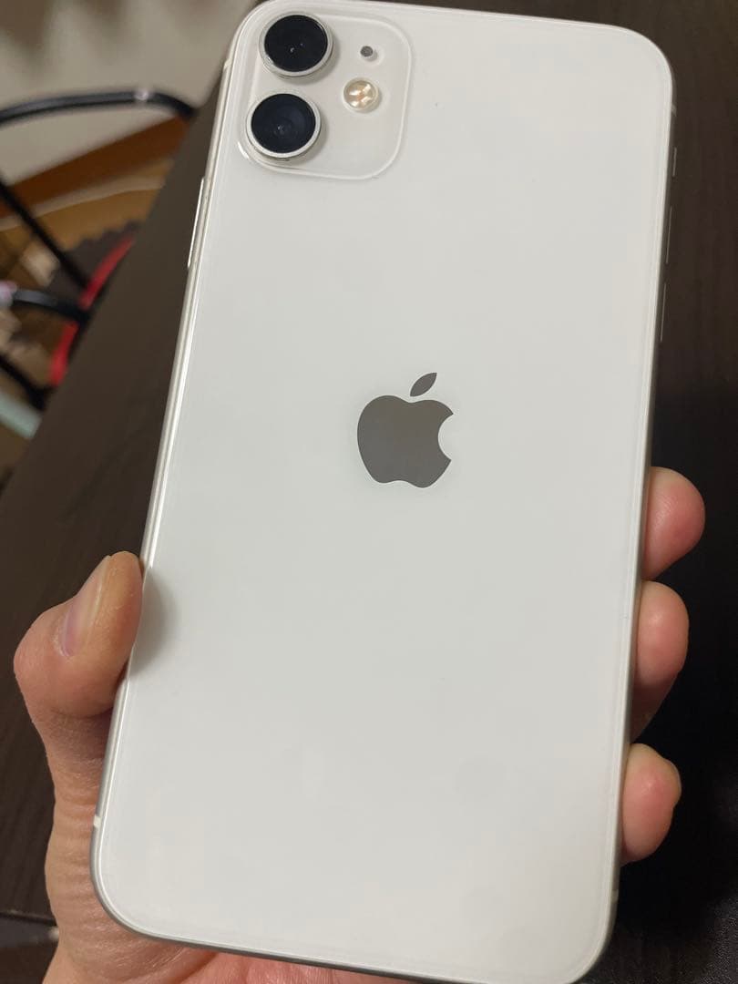 【故障】iPhone11 本体 256GB SIMフリー　BT100% ジャンク