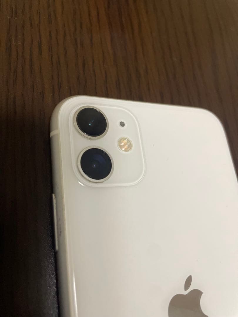 【故障】iPhone11 本体 256GB SIMフリー　BT100% ジャンク