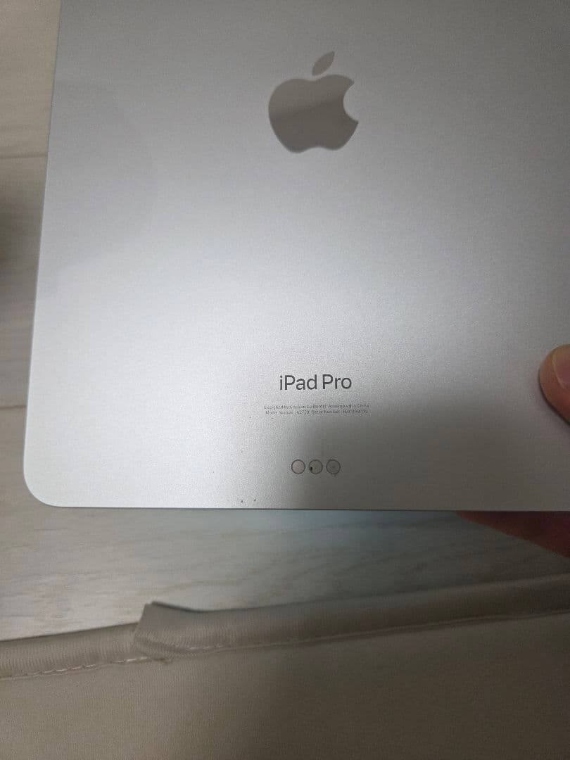Apple iPad Pro 11インチ 第4世代 256GB+full set