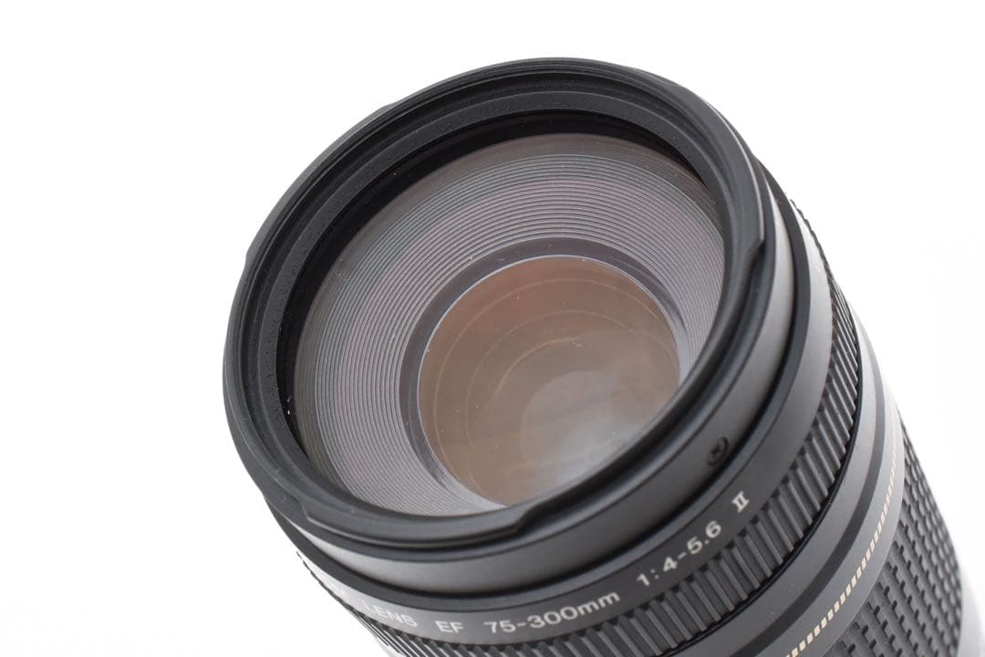 フード付き/Canon EF 75-300mm F4-5.6 Ⅱ USM