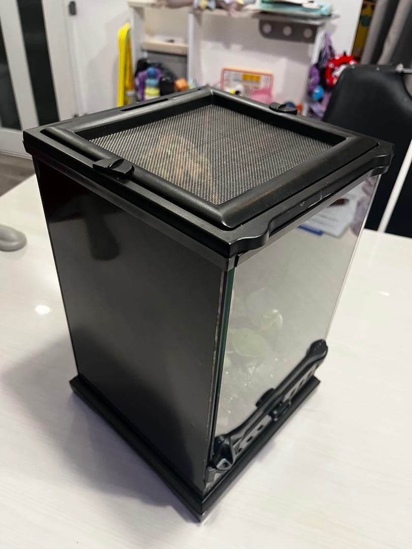 テラリウム　現品　グラステラリウムナノ新品
