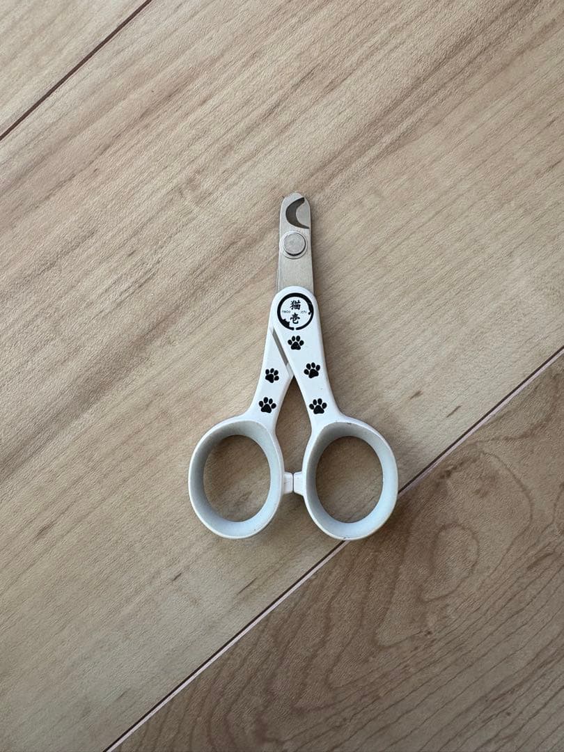 猫　子猫　飼育セット　キャリーバッグ　猫のトイレ　爪研ぎ　ペット用品