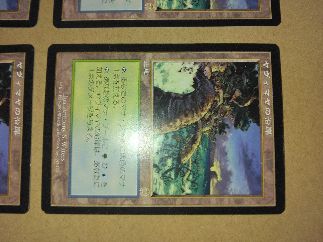 ヤヴィマヤの沿岸 Yavimaya Coast 日本語4枚 APC MTG
