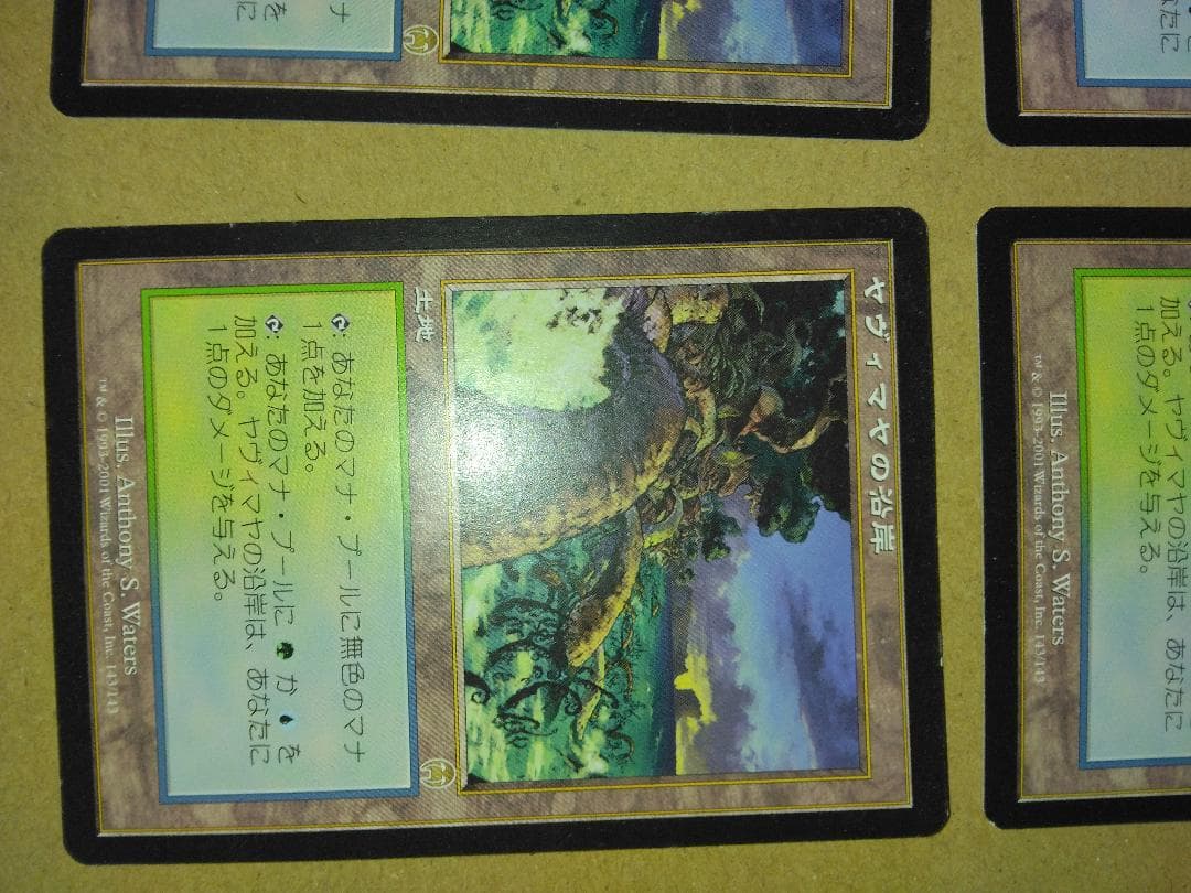ヤヴィマヤの沿岸 Yavimaya Coast 日本語4枚 APC MTG