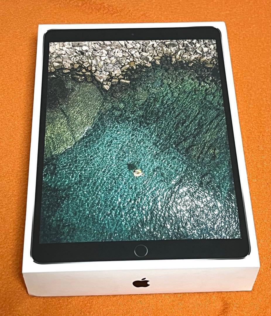 iPad Pro 10.5インチ 512GB スペースグレイ cellular