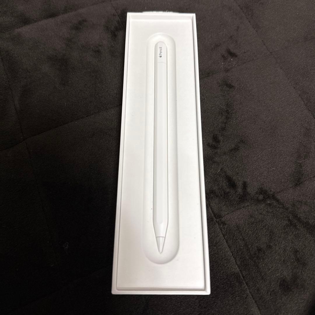 iPad (A16)(第11世代) Apple Pencil（USB-C）