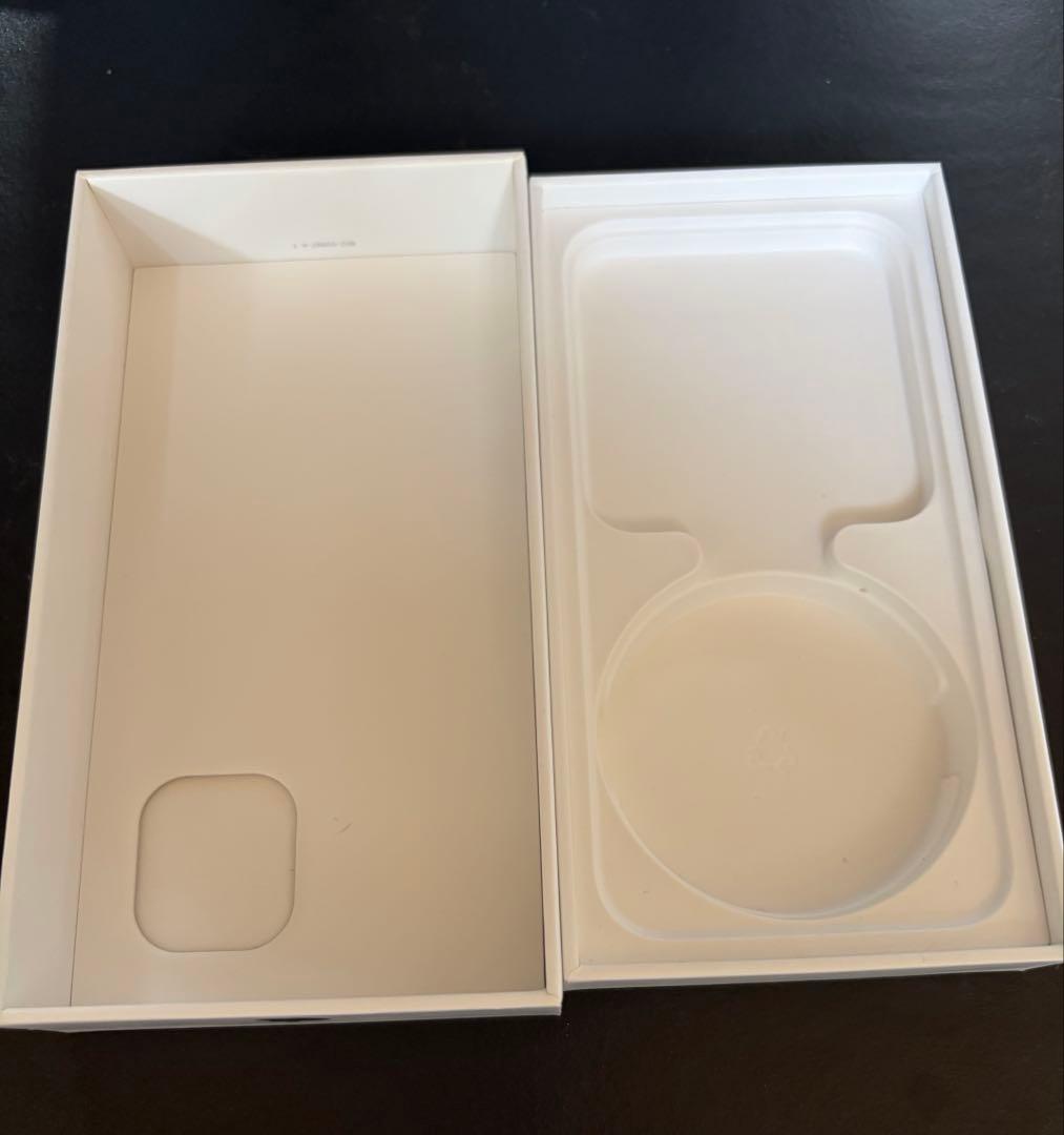 【ジャンク品】iPhone12miniブラック　256GB