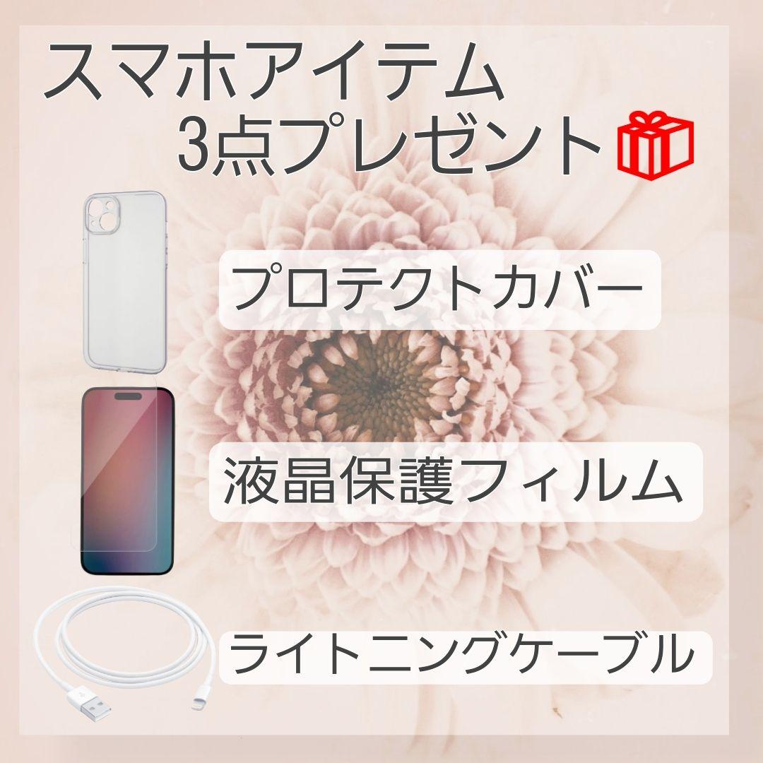 iPhone 11 Pro Max 256GB バッテリー新品100% 大容量