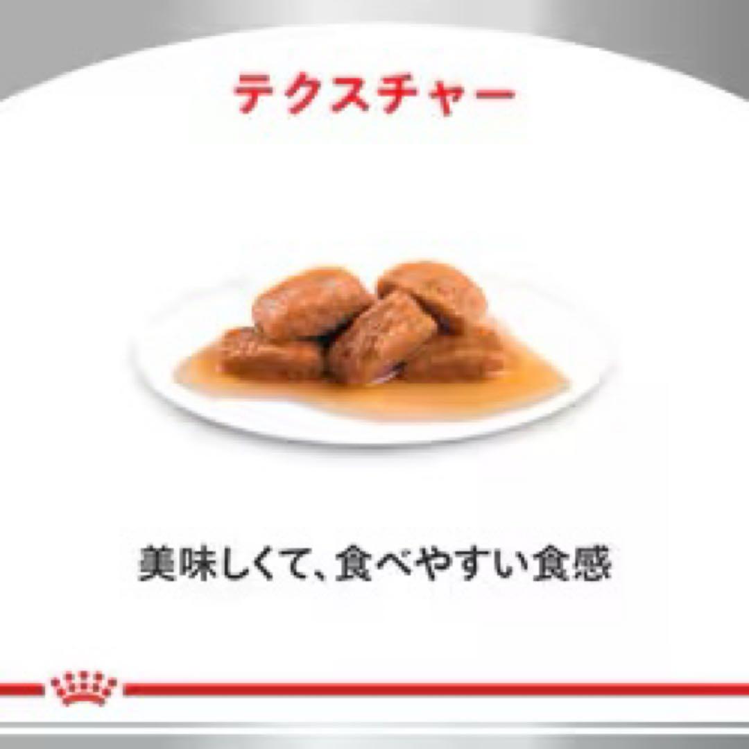 ロイヤルカナン 猫用 腎臓サポート フィッシュテイスト パウチ 85g 37個