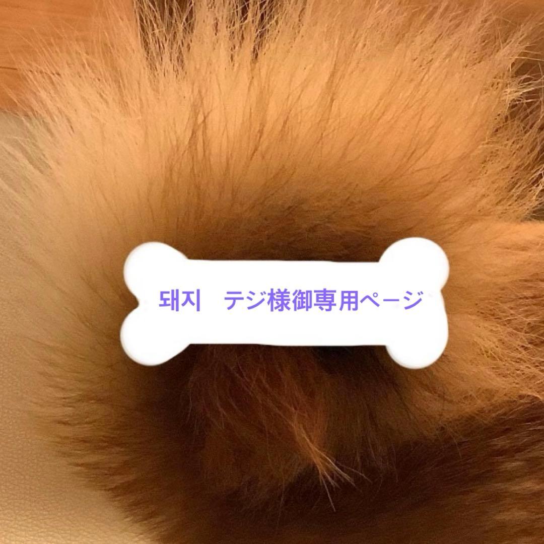 돼지　テジ様御専用ページ