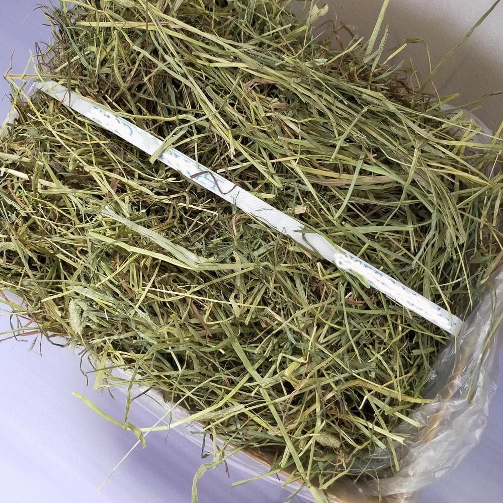 US産 チモシー 50kg ２番刈 ソフトスーパープレミアム