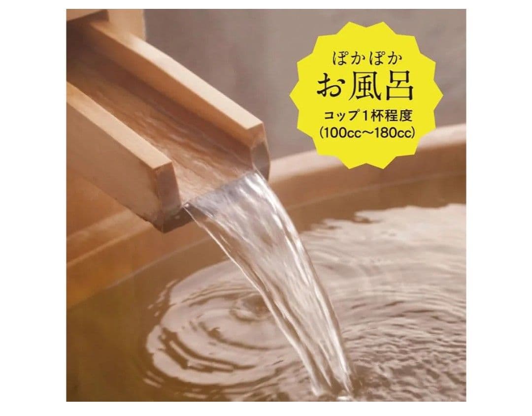 亀山堂 にがり温泉 にがり 入浴剤 スキンケア などに（ 4L ）×2個セット