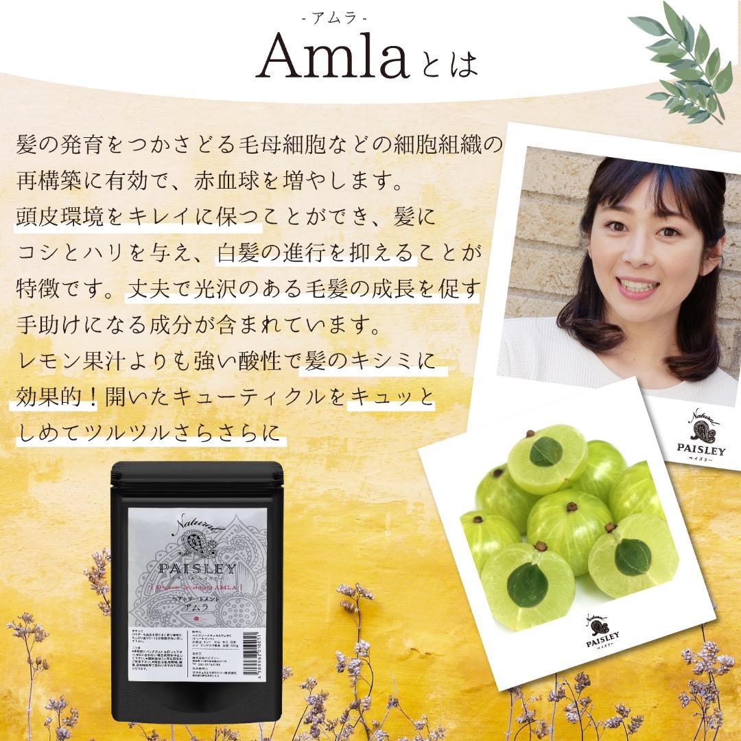 オレンジ2個、ブラウン1個【最高AAAランク高品質ヘナ】選べて嬉しい♪