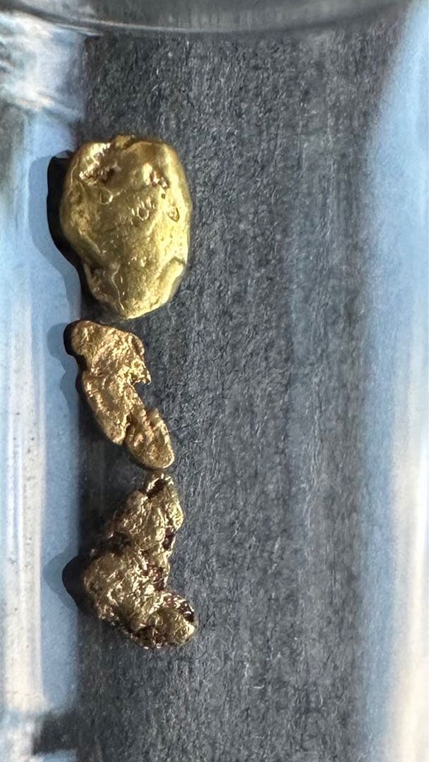砂金　中粒　観賞・資料用