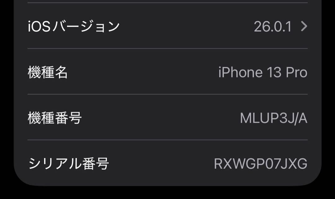 【美品】Apple iPhone 13 Pro 256GBシルバー おまけつき