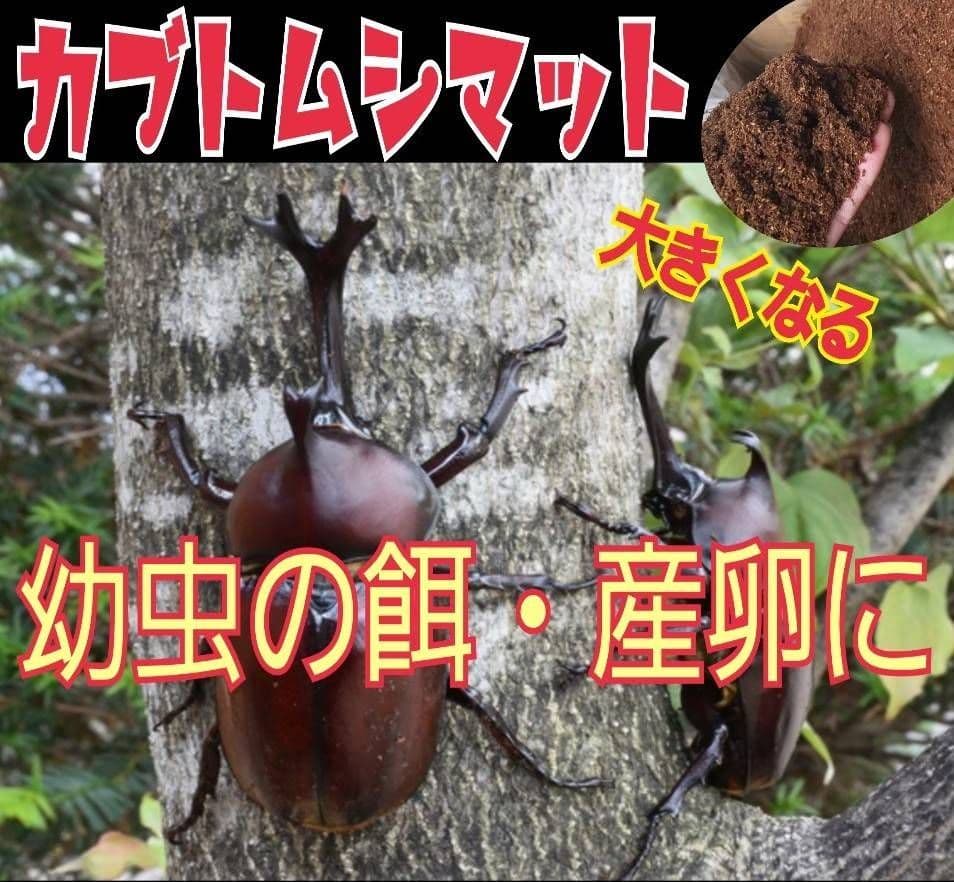 カブトムシ幼虫の餌　大きくなる！発酵マット【6袋】雑虫が湧きません！すぐ使える