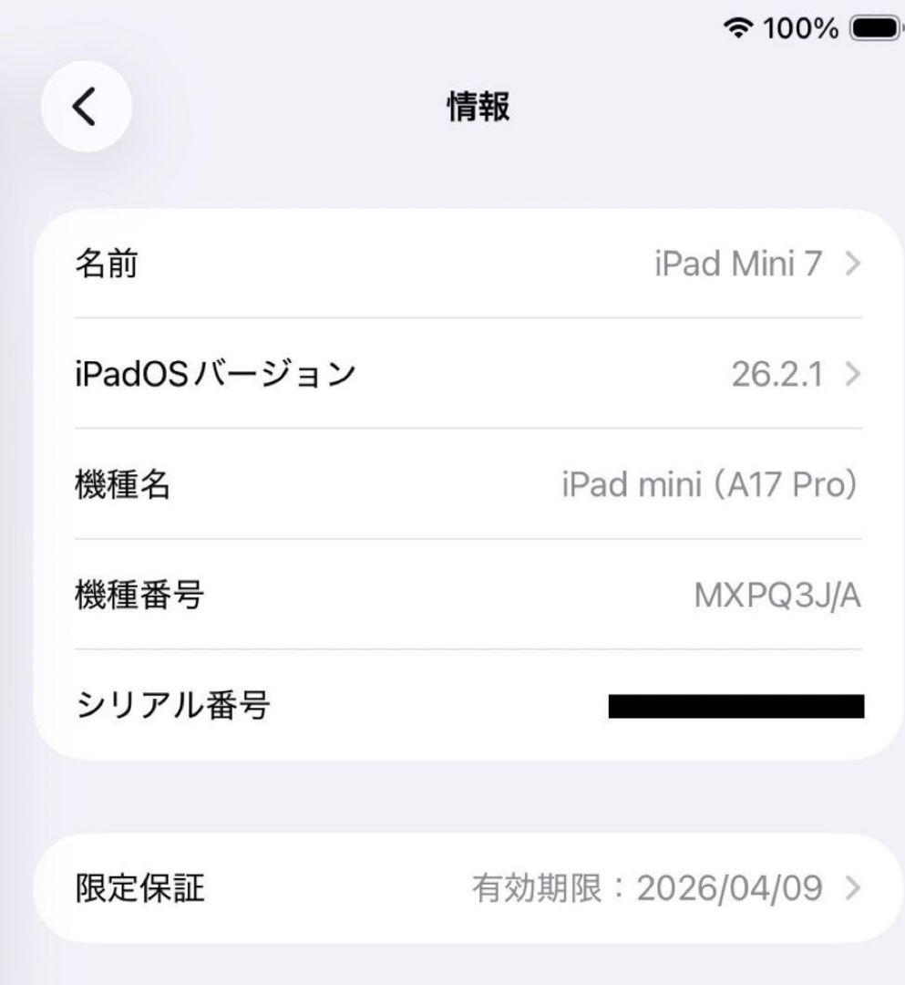 iPad mini 7本体 128Gb Wi-Fi+Cellular 超美品