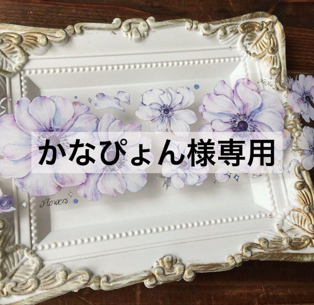 かなぴょん