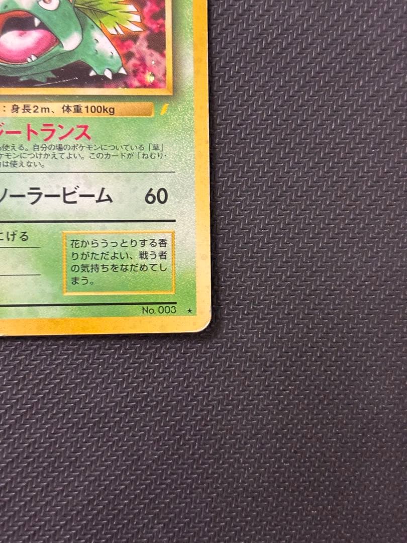 フシギバナ_「とりかえっこプリーズ」 キャンペーンカード PROMO 旧裏