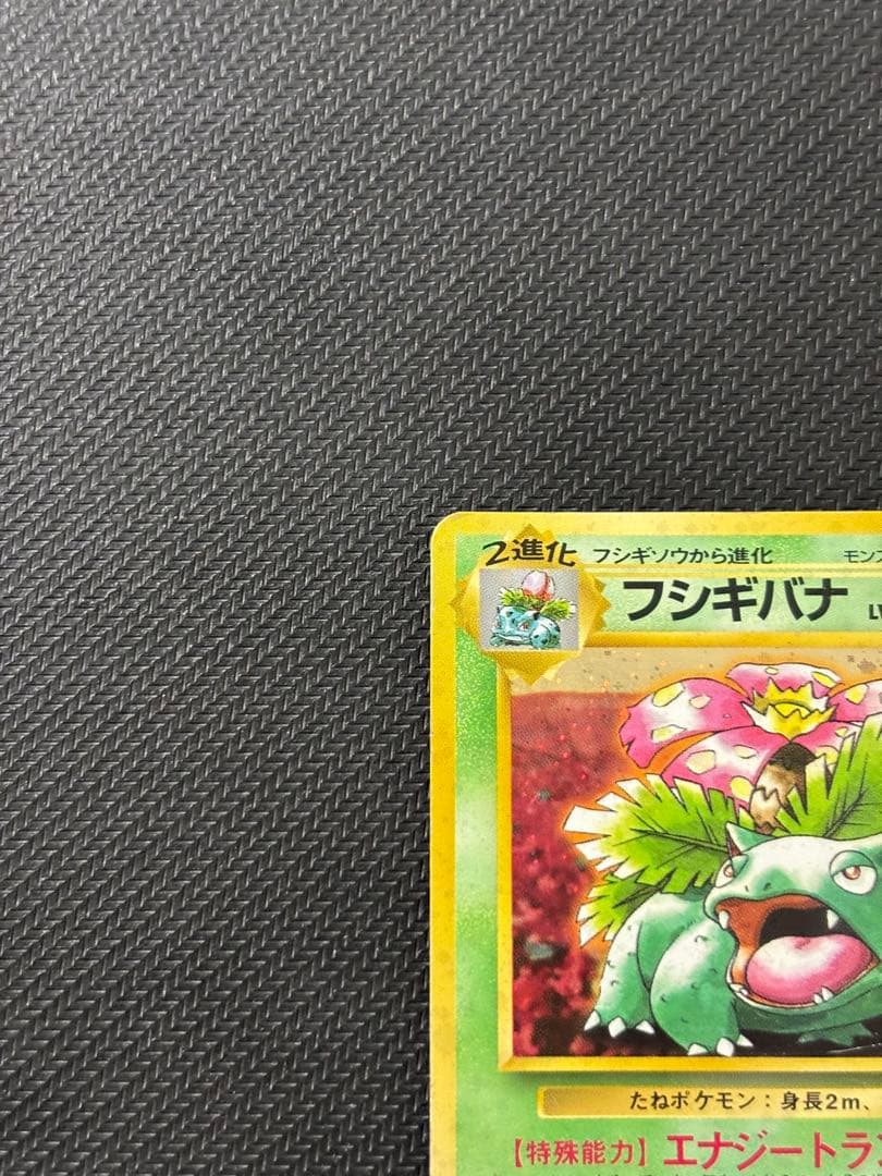フシギバナ_「とりかえっこプリーズ」 キャンペーンカード PROMO 旧裏