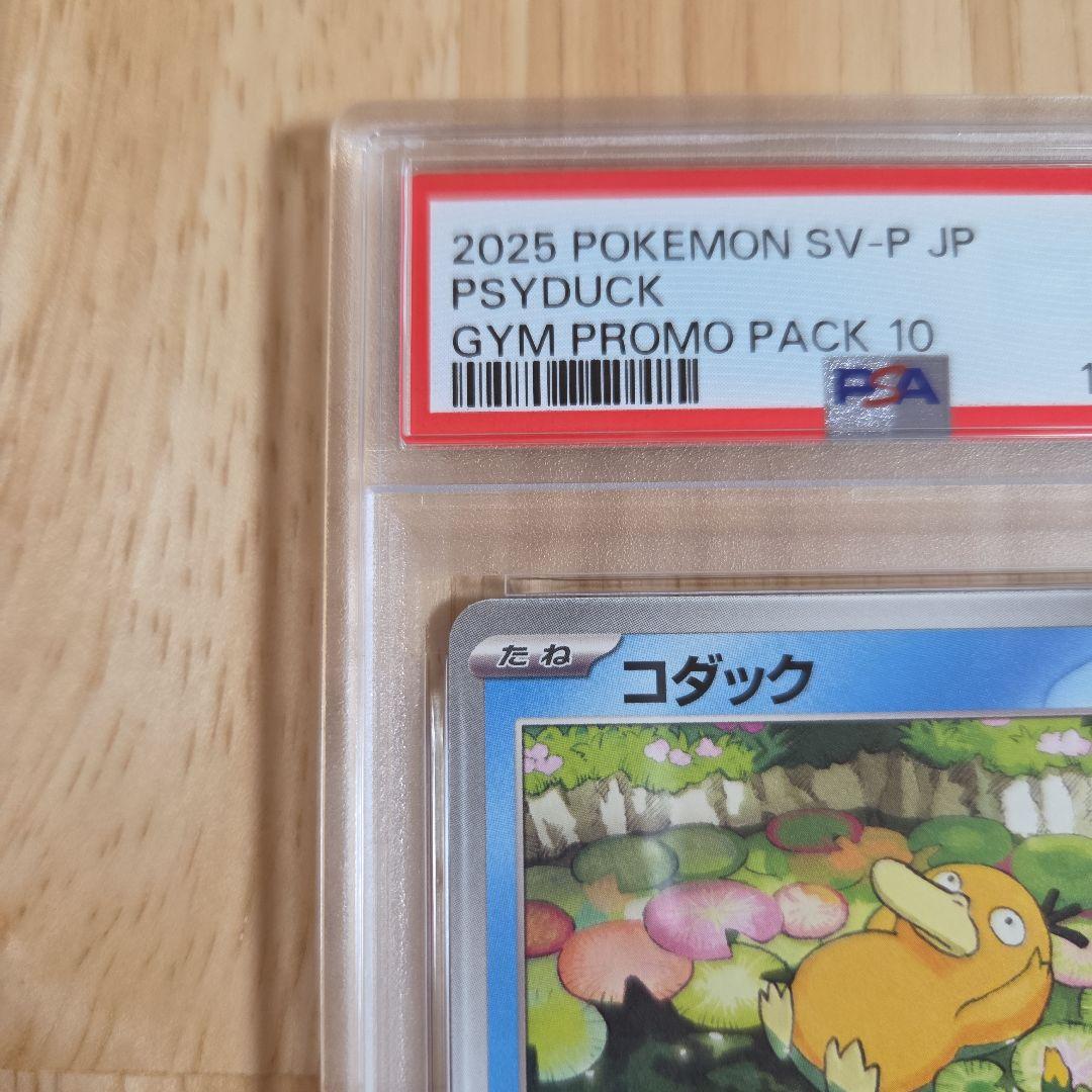 【PSA10】コダック　しめりけ　262/SV-P ジムプロモ　Psyduck