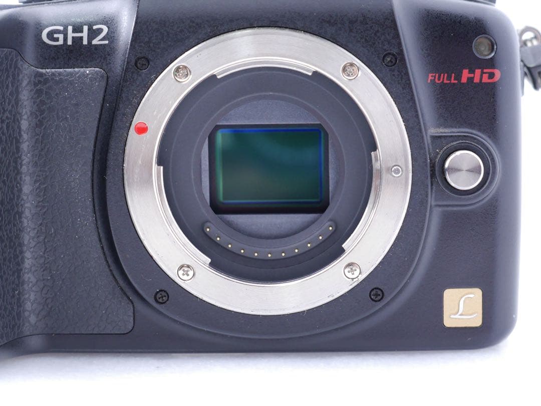Panasonic DMC-GH2 本体