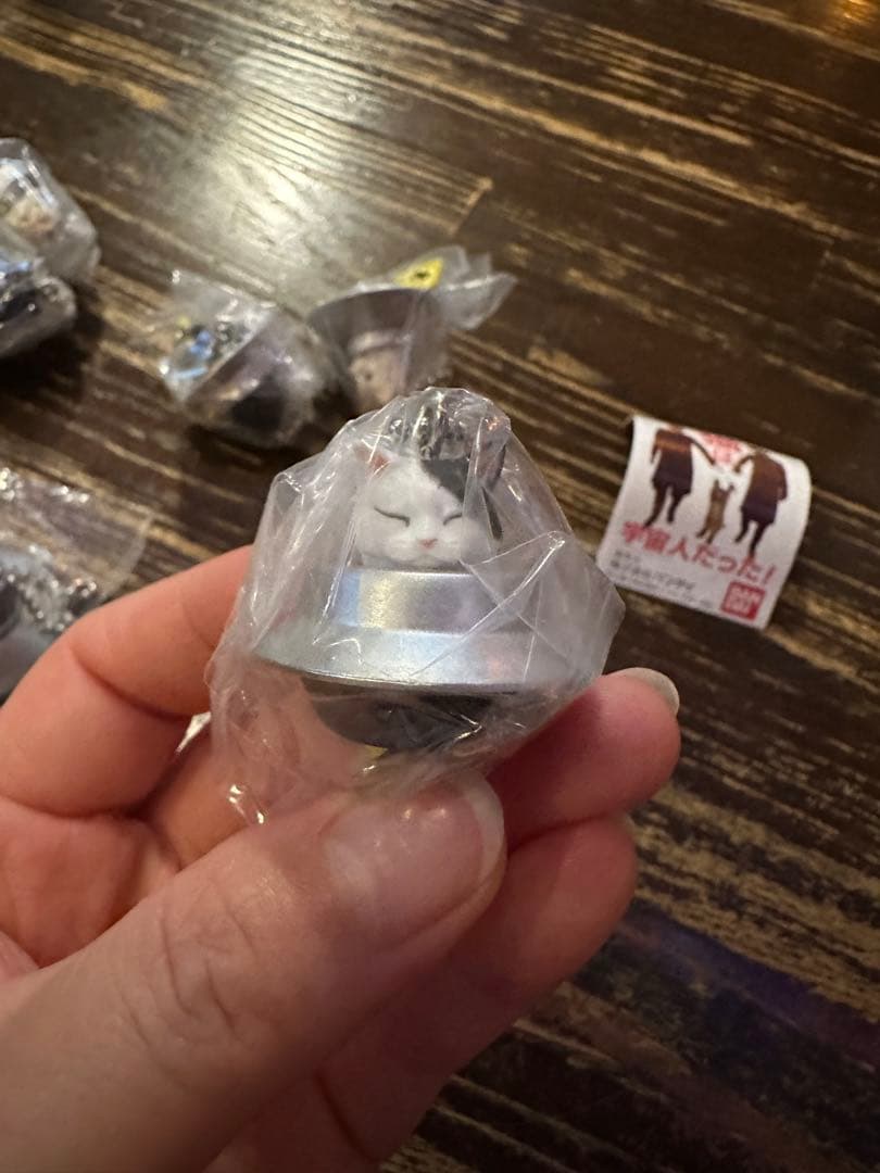 宇宙人猫 アクセサリー チェーン付き6個