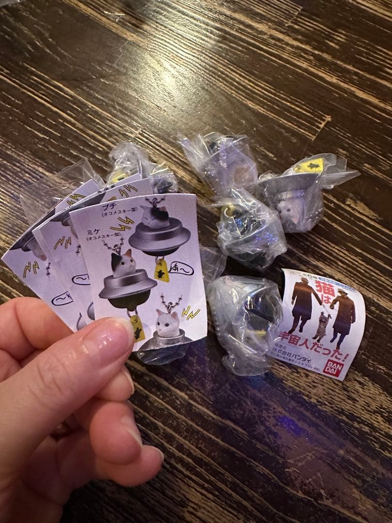 宇宙人猫 アクセサリー チェーン付き6個